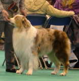 Publication : du domaine du Cervine Auteur : m payne