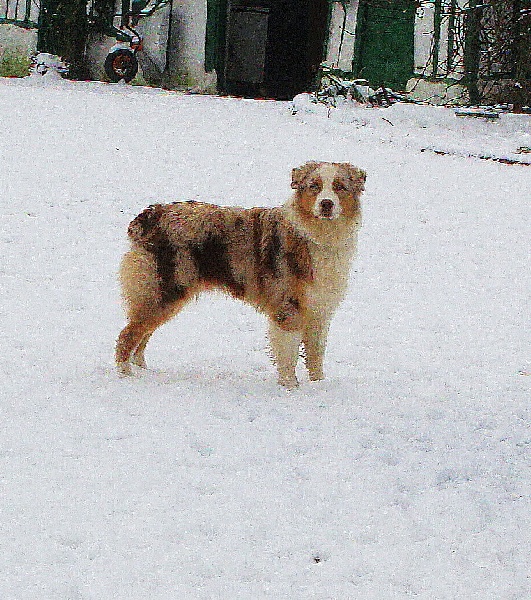 Publication : du domaine du Cervine Auteur : m payne