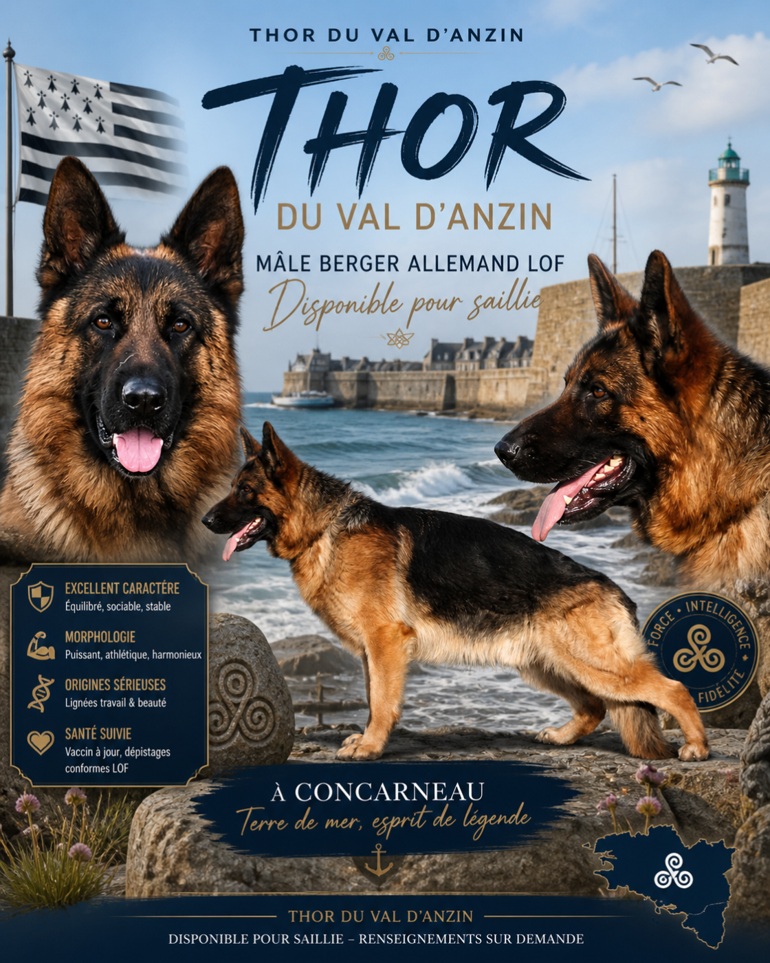 Thor du val d anzin