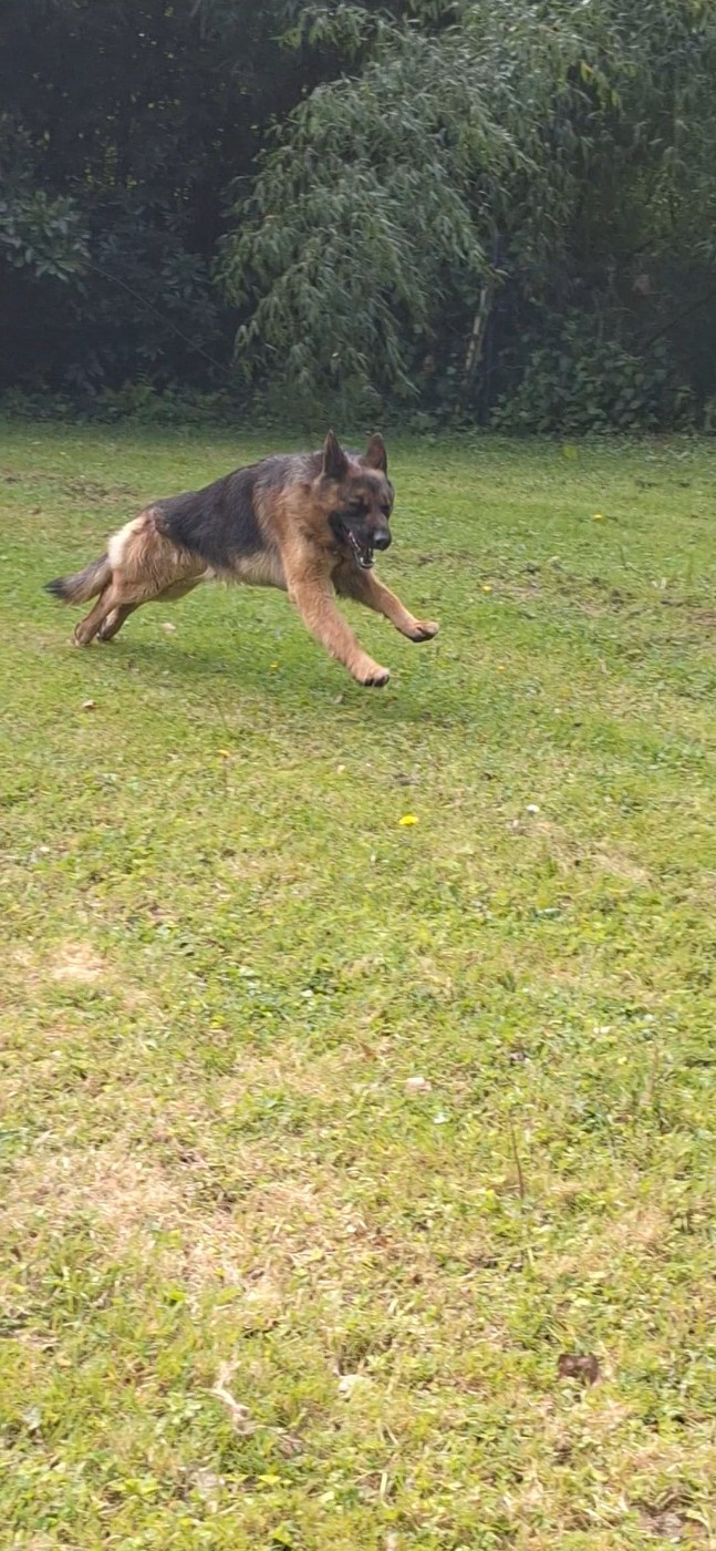 Thor du val d anzin