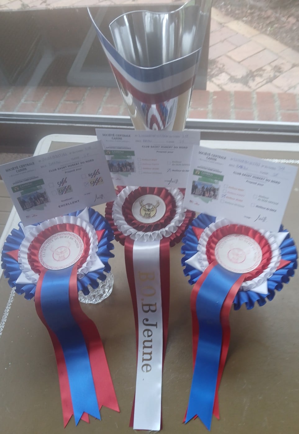 Vera des Plaines du Cambresis