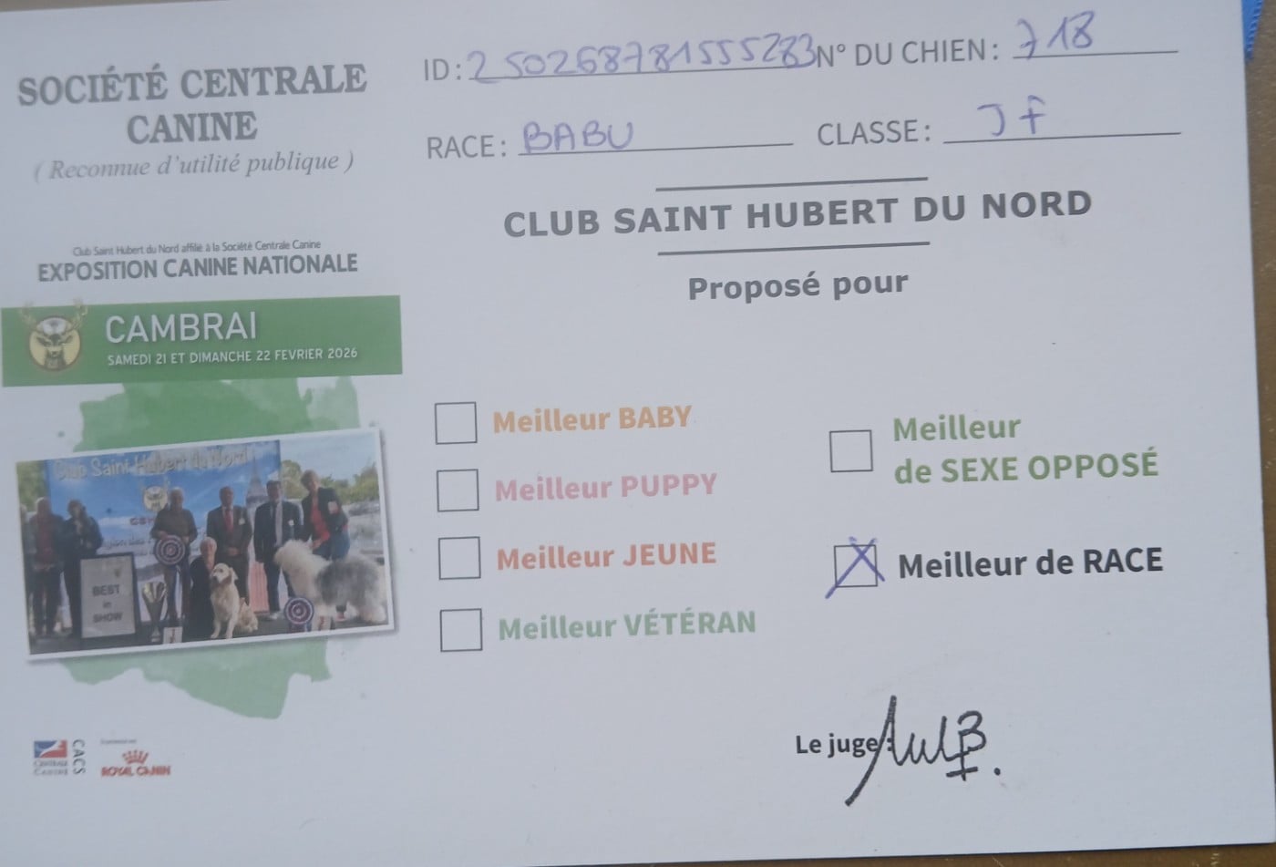 Vera des Plaines du Cambresis