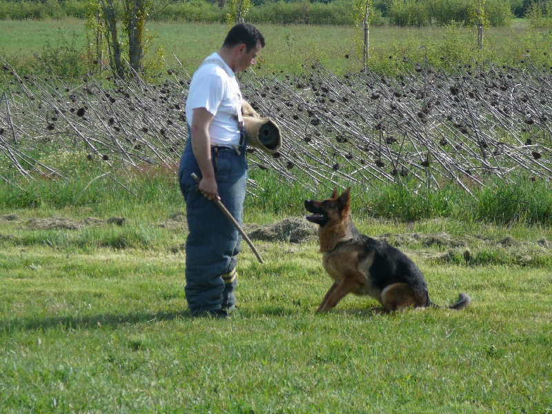 Borga Von Der Hans Plaz