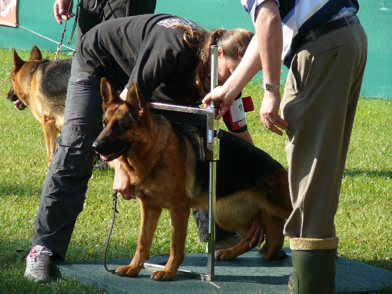 Borga Von Der Hans Plaz