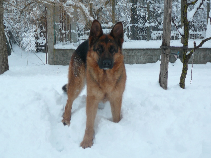 Borga Von Der Hans Plaz