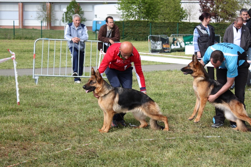 Borga Von Der Hans Plaz