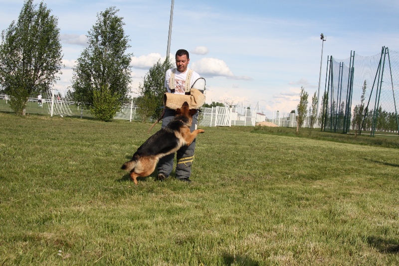 Borga Von Der Hans Plaz
