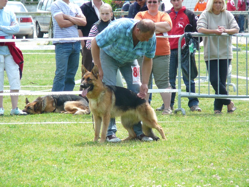 Publication : Des terres de peyrière