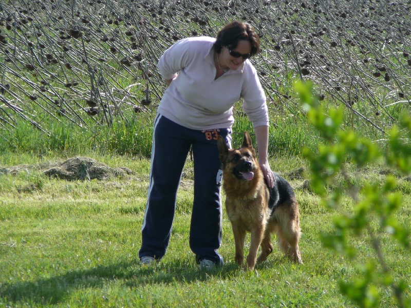Borga Von Der Hans Plaz
