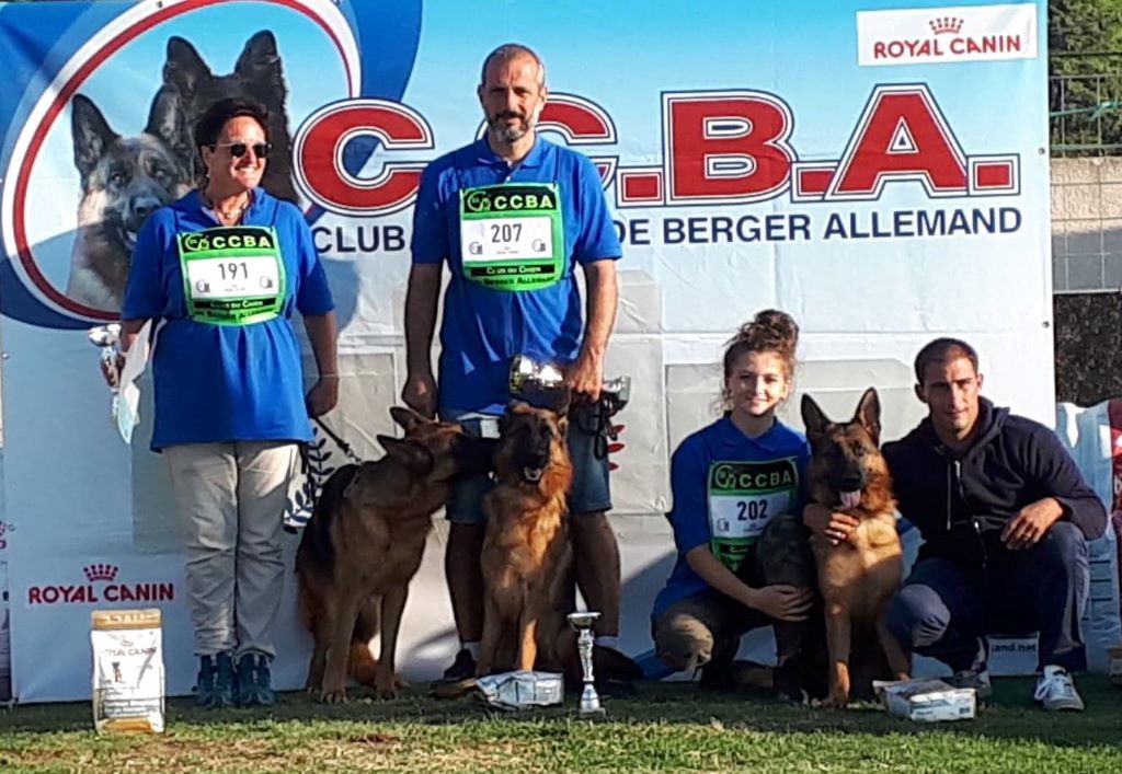 CH. Nonza Des terres de peyrière - CHAMPIONNE DE FRANCE CLASSE JUNIOR