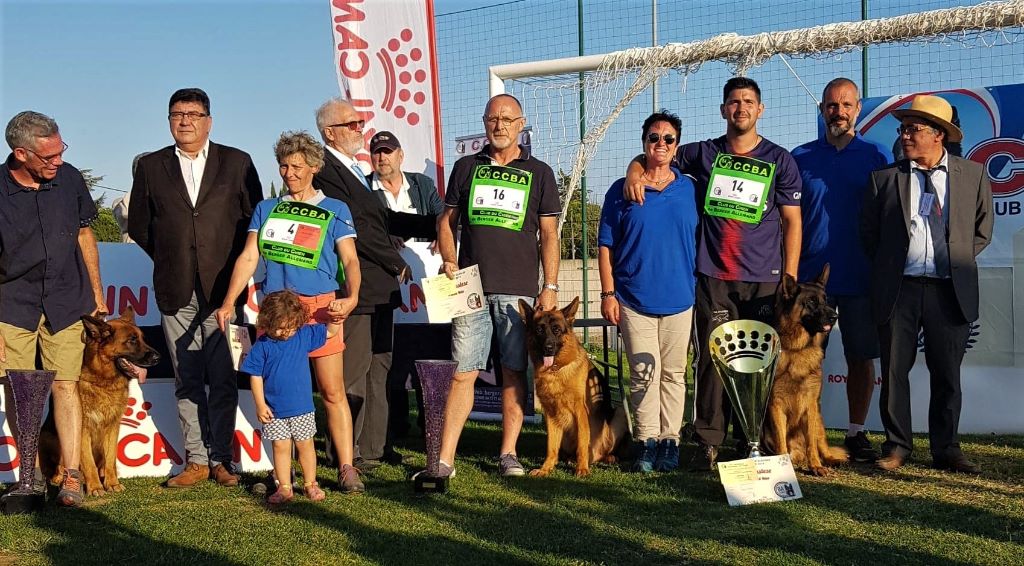 CH. Lutz Des terres de peyrière - CHAMPION DE FRANCE 1ER AUSLESE