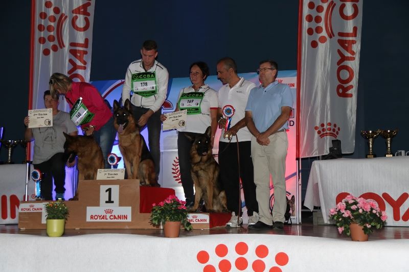 CH. Lutz Des terres de peyrière - 3ème classe Jeune