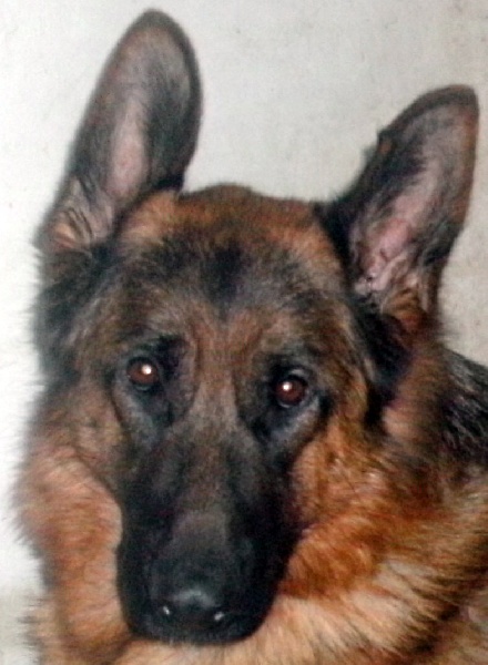 Publication : vom Hortenbourg Auteur : COUTY JEANNINE