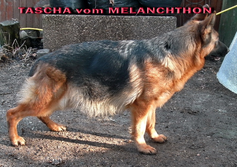 Publication : vom Hortenbourg Auteur : COUTY JEANNINE