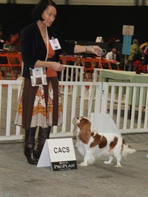 Ever so pretty of Sevijean's