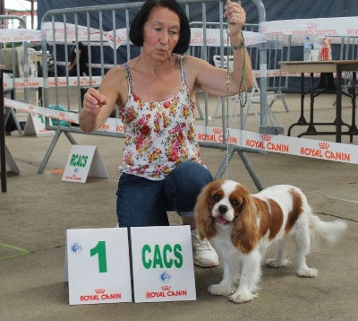 Ever so pretty of Sevijean's