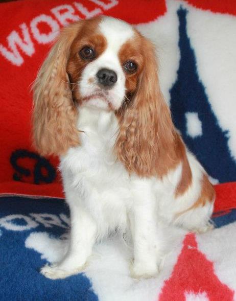 Ever so pretty of Sevijean's