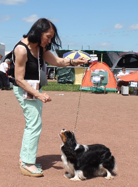 Hello dolly of Sevijean's