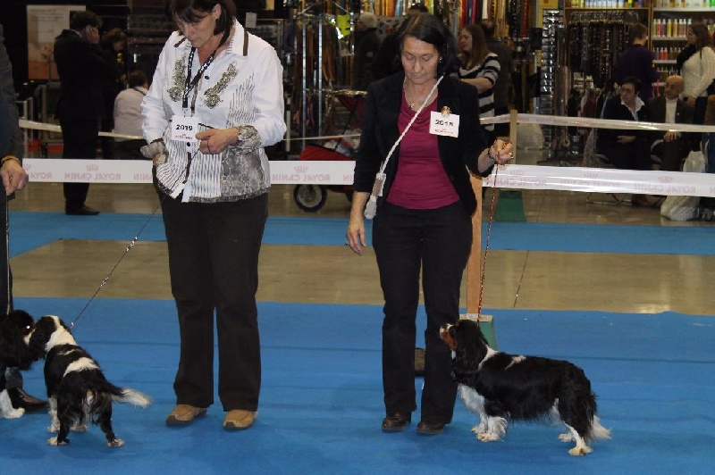 Hello dolly of Sevijean's