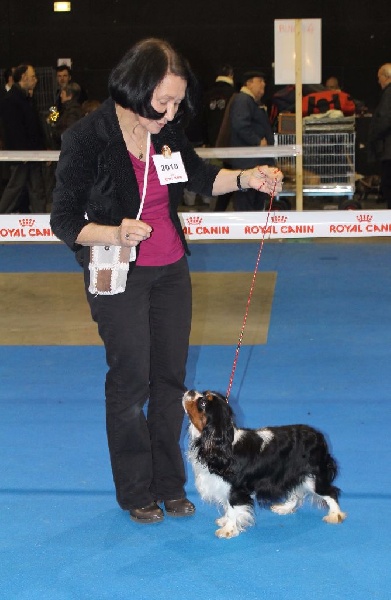 Hello dolly of Sevijean's