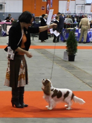 Ever so pretty of Sevijean's