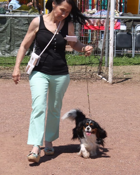 Hello dolly of Sevijean's