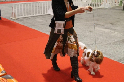 Ever so pretty of Sevijean's