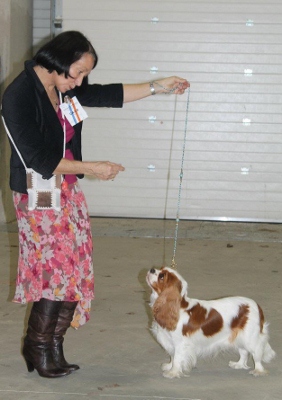 Ever so pretty of Sevijean's