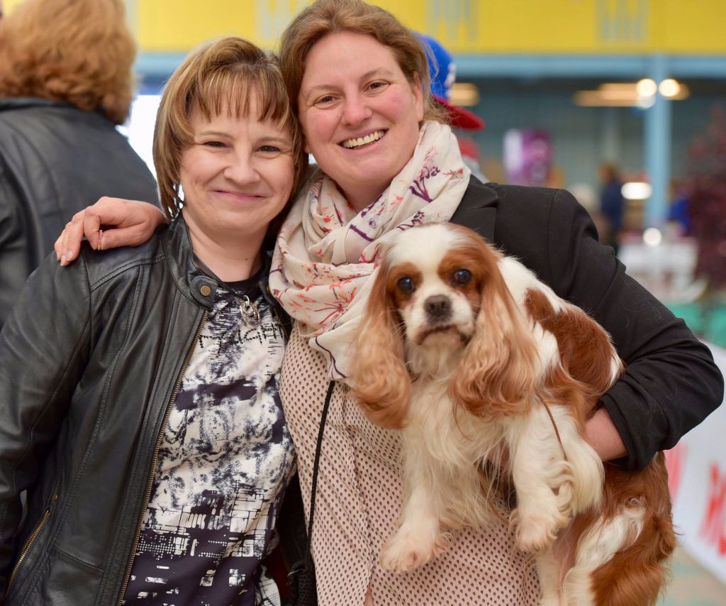 CH. Carham Vanilla Sky - 1er EX + Champion Vétéran de France