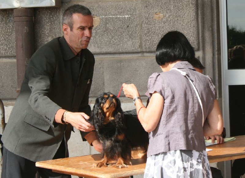 CH. Feeling of Sevijean's - 1ère Ex CACS - Meilleur de race - 1ère du groupe