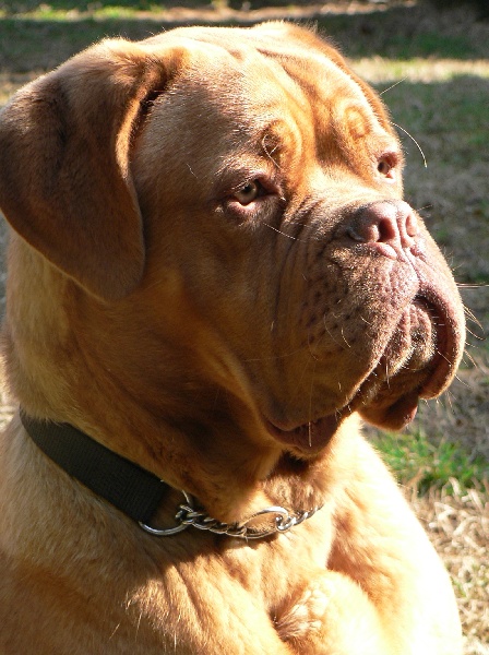 Publication : of Mac Paradise Auteur : Mac Paradise