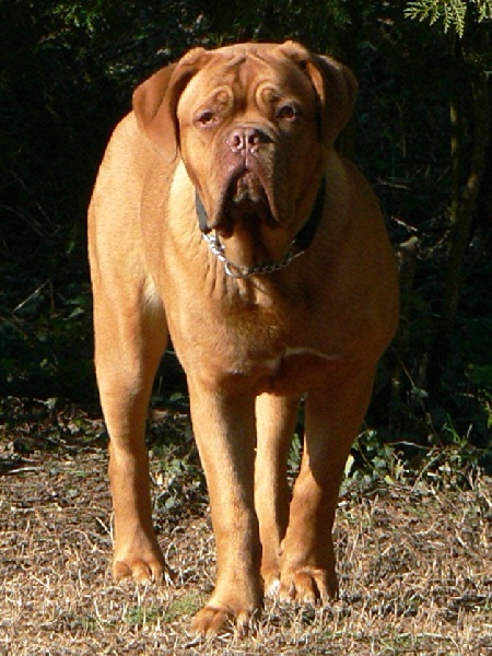 Publication : of Mac Paradise Auteur : Mac Paradise