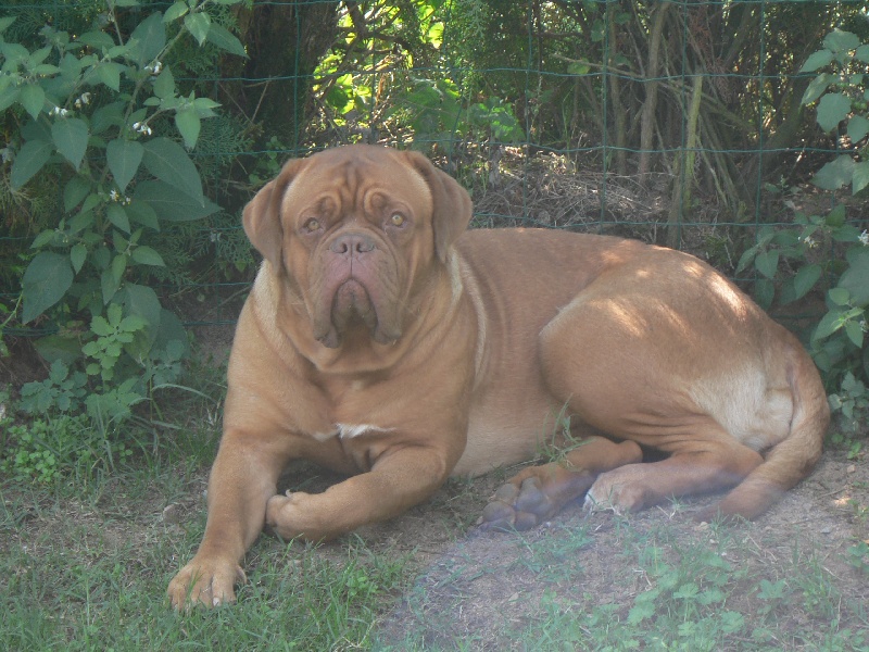 Publication : of Mac Paradise Auteur : Mac Paradise