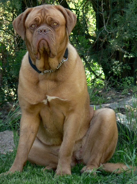 Publication : of Mac Paradise Auteur : Mac Paradise