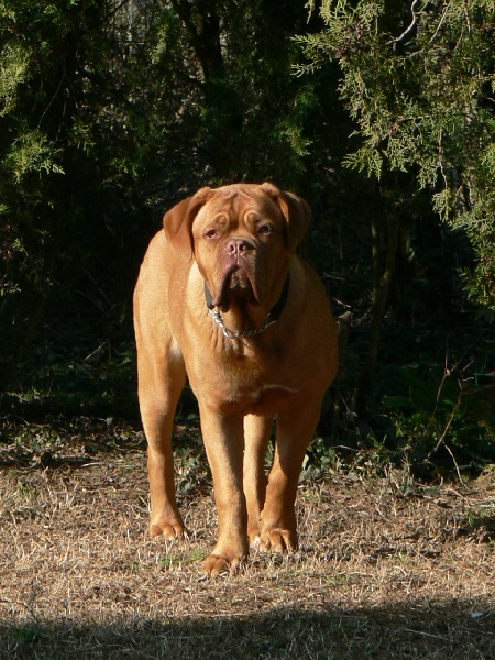 Publication : of Mac Paradise Auteur : Mac Paradise