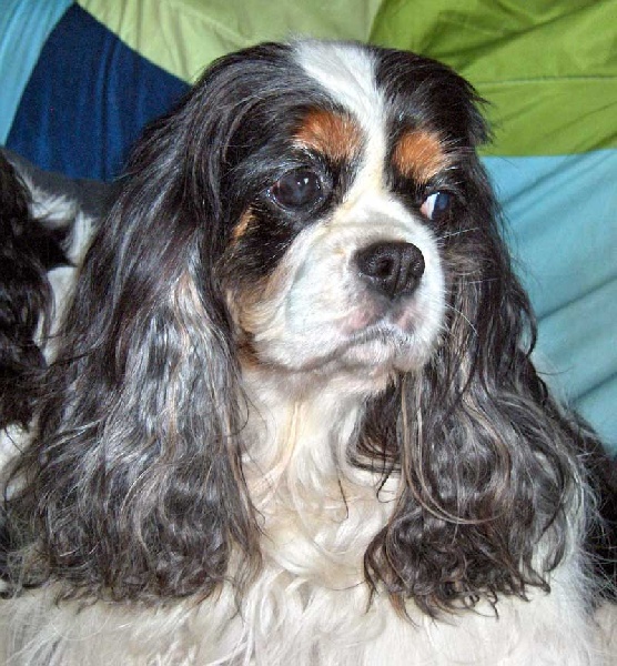 Publication : of Pretty Kings