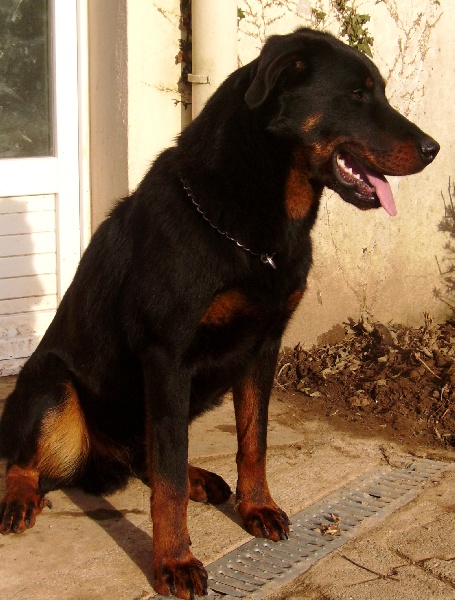 Doser des Trois Rocs