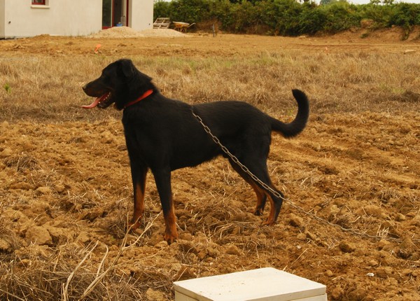 Doser des Trois Rocs