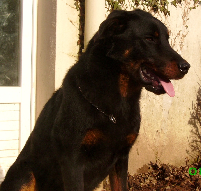 Doser des Trois Rocs