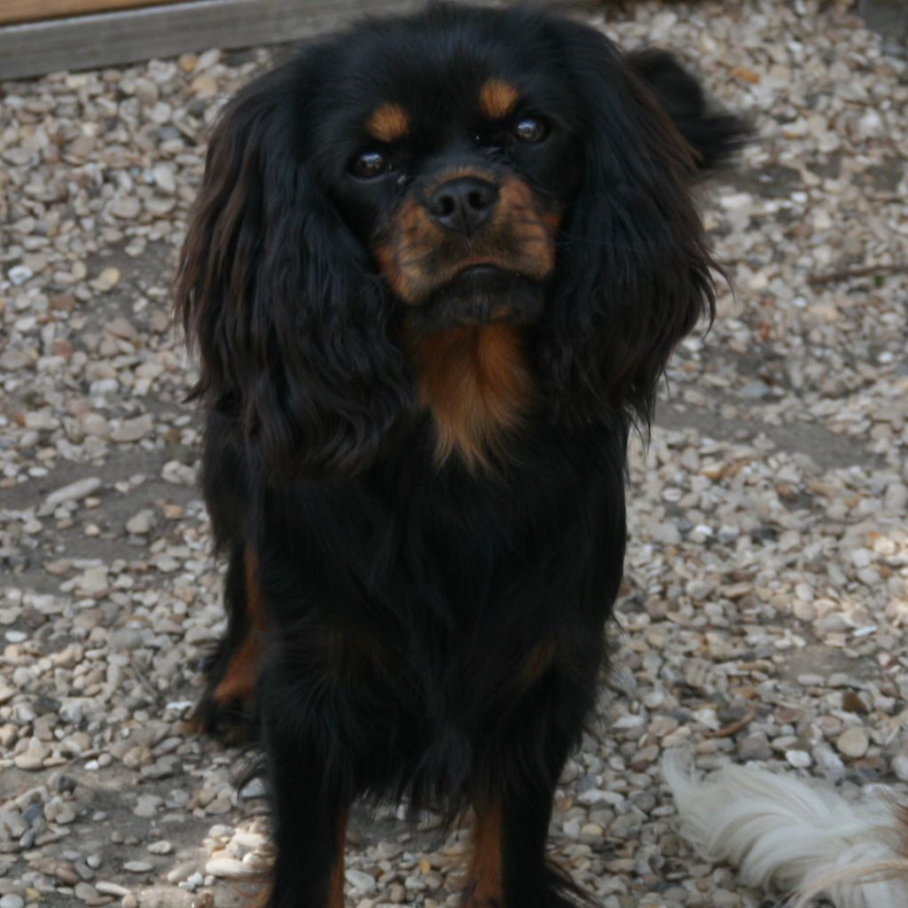 Publication : du domaine des petits clowns Auteur : lagand martine