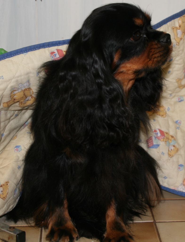 Publication : du domaine des petits clowns Auteur : lagand martine