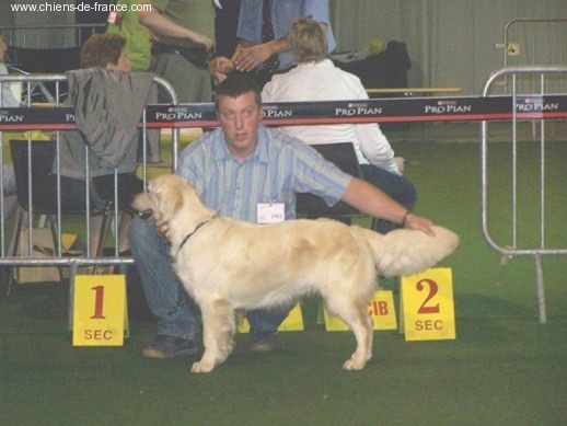 A'cannelle du Jardin d'Ardenne - 2ème Très bon