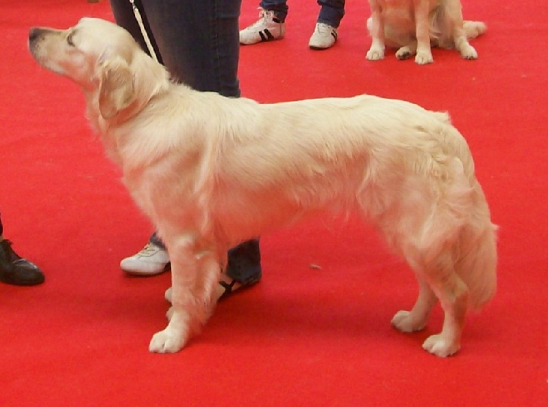 A'cannelle du Jardin d'Ardenne - BON et CONFIRME