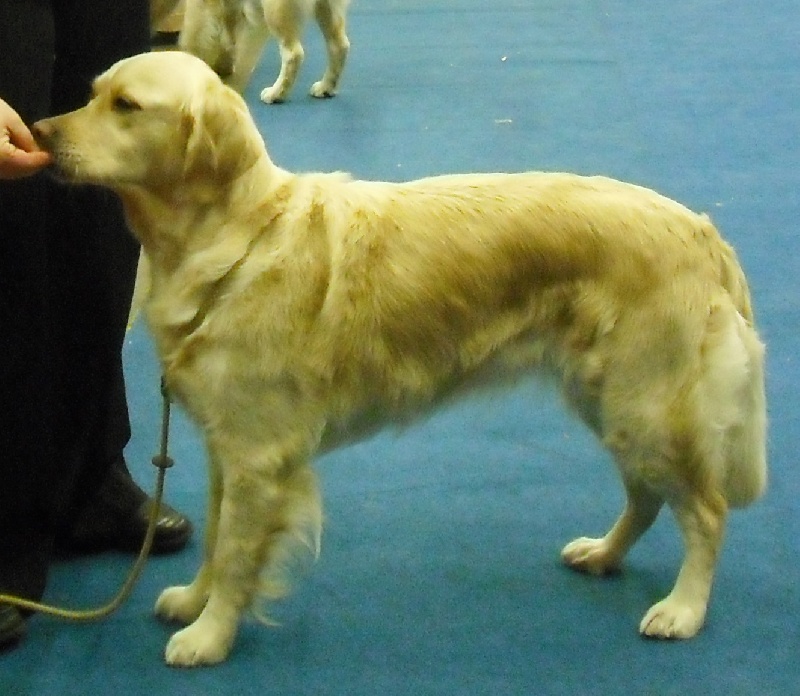 A'cannelle du Jardin d'Ardenne - très bon