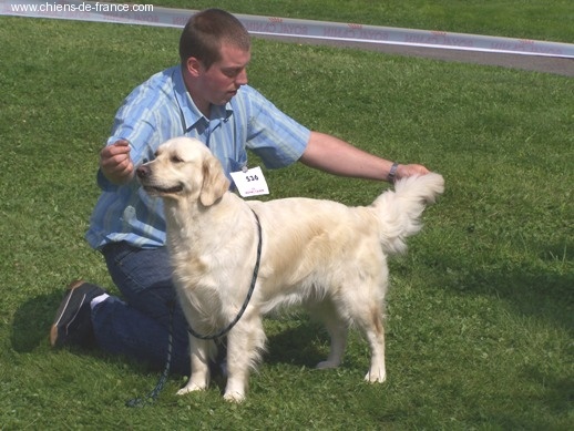 A'cannelle du Jardin d'Ardenne - 3ème excellent classe intermédiaire