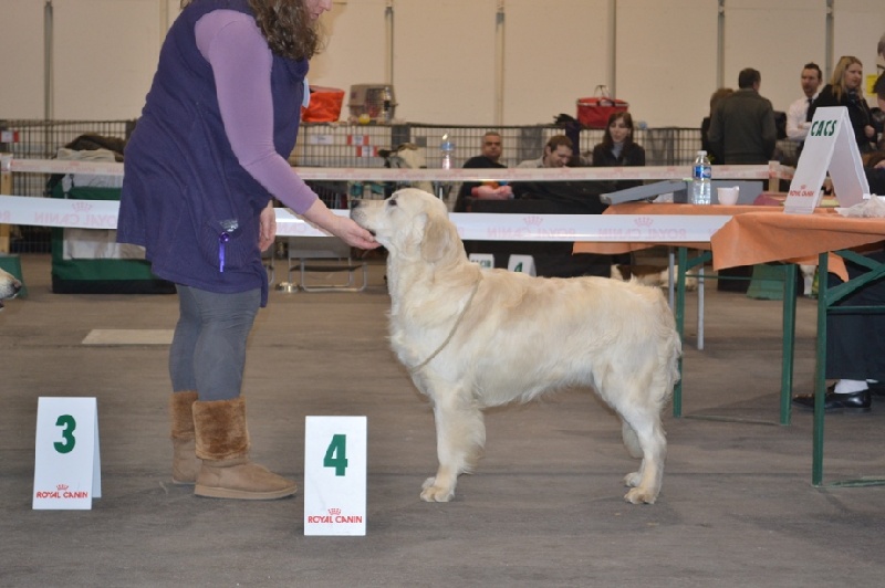 Full eclipse de l'Odyssée Blanche - 4ème très bon