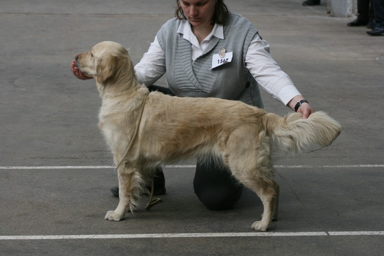 A'cannelle du Jardin d'Ardenne - très bon