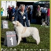 - resultats Expositions Etranger