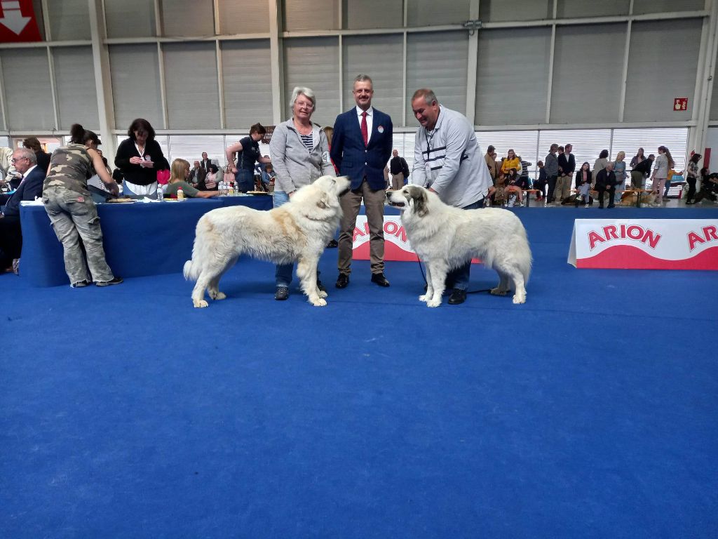 Carousse czym chata bogata - 1 EX CAC CACIB meilleur du Race sexe oposé