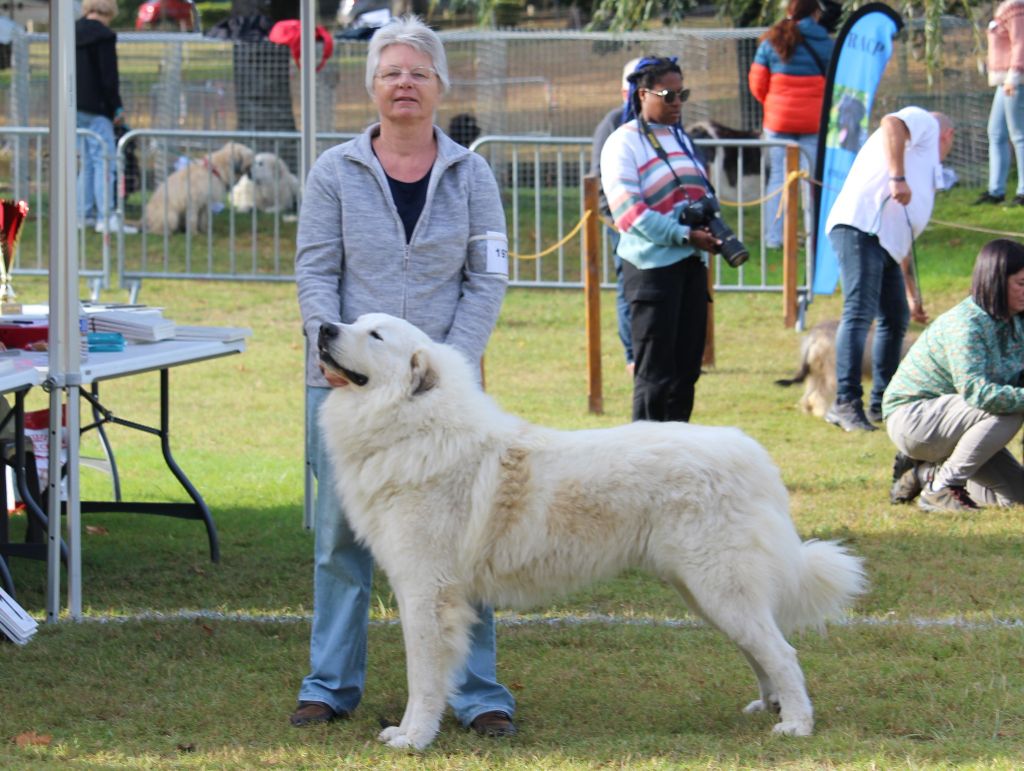 Carousse czym chata bogata - 3 EX class Intermédiare